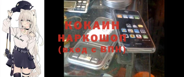 дживик Ветлуга