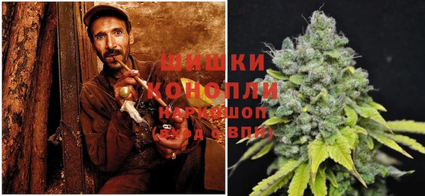 сатива Абдулино