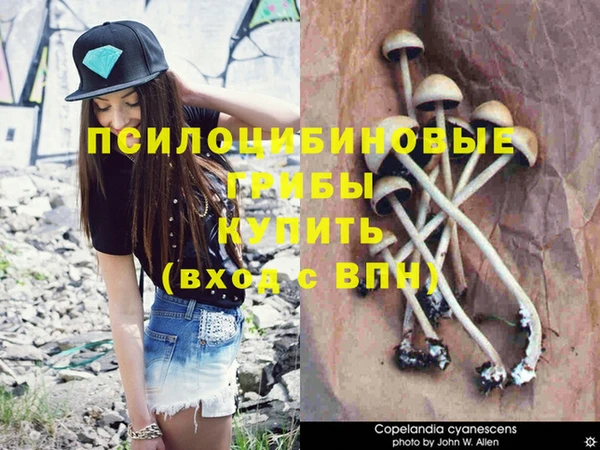 дурь Нязепетровск
