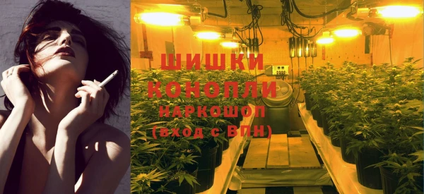 сатива Абдулино