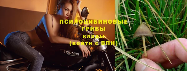 сатива Абдулино