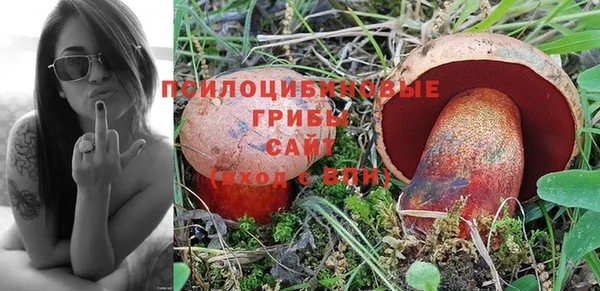 бошки Няндома