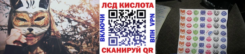 Наркотические марки 1,5мг  кракен как зайти  Суздаль  сколько стоит 