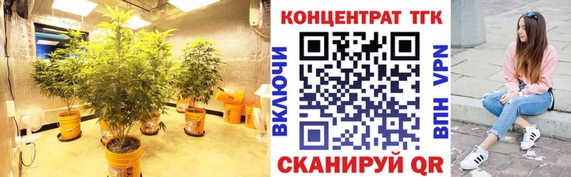 наркошоп  Суздаль  ТГК THC oil 