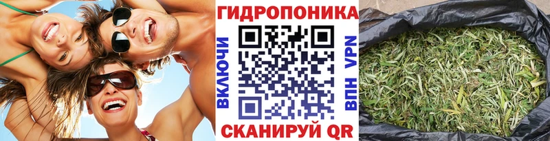 хочу наркоту  Суздаль  Каннабис индика 